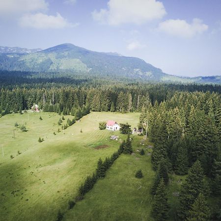 Homestay Djerkovic Žabljak Exteriör bild