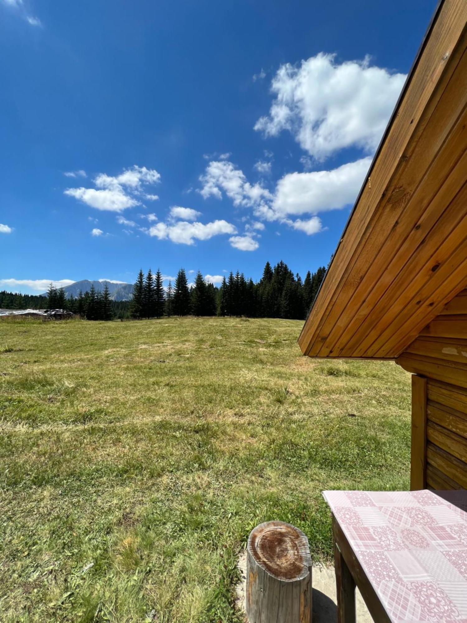 Homestay Djerkovic Žabljak Exteriör bild