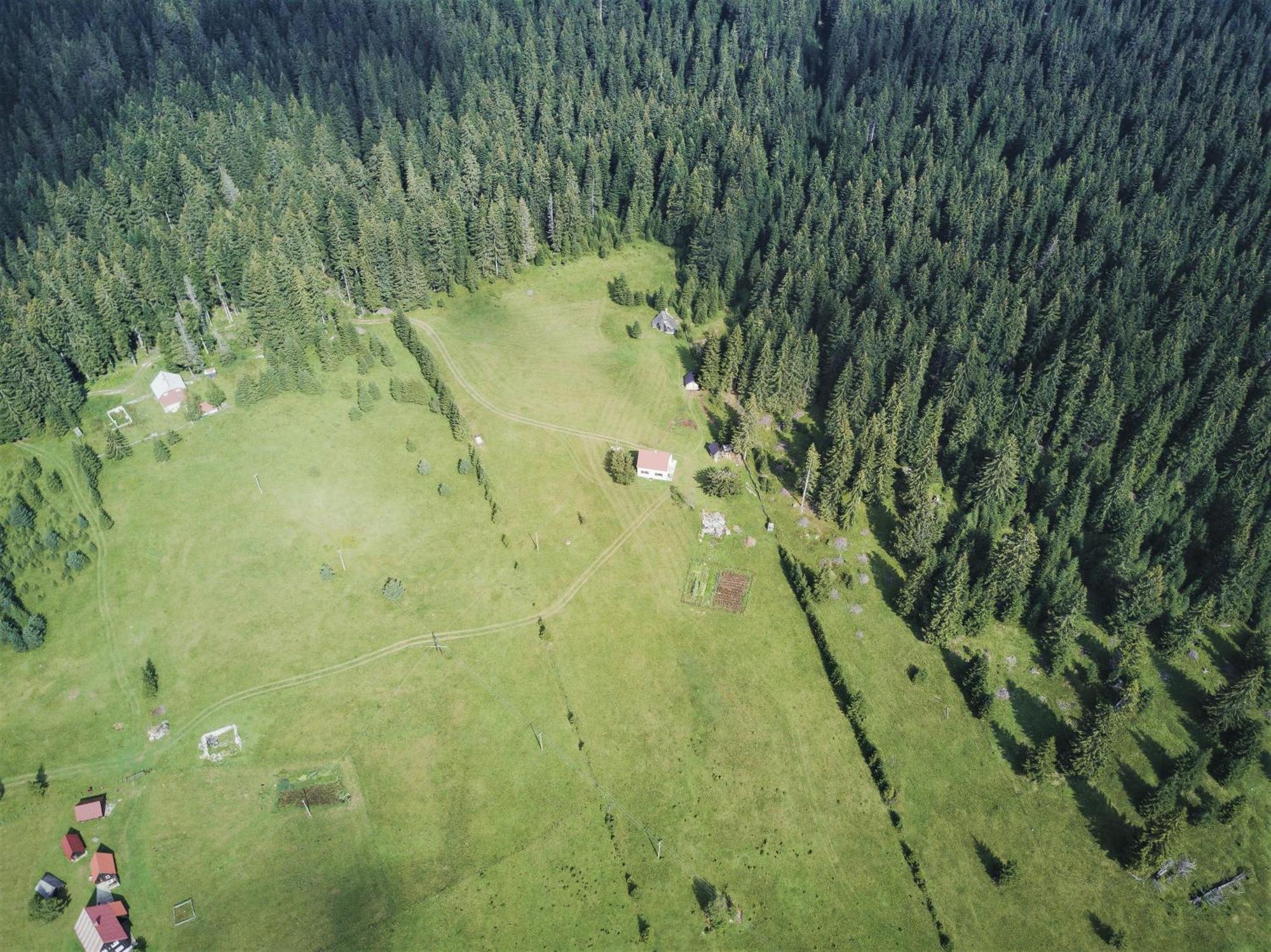 Homestay Djerkovic Žabljak Exteriör bild