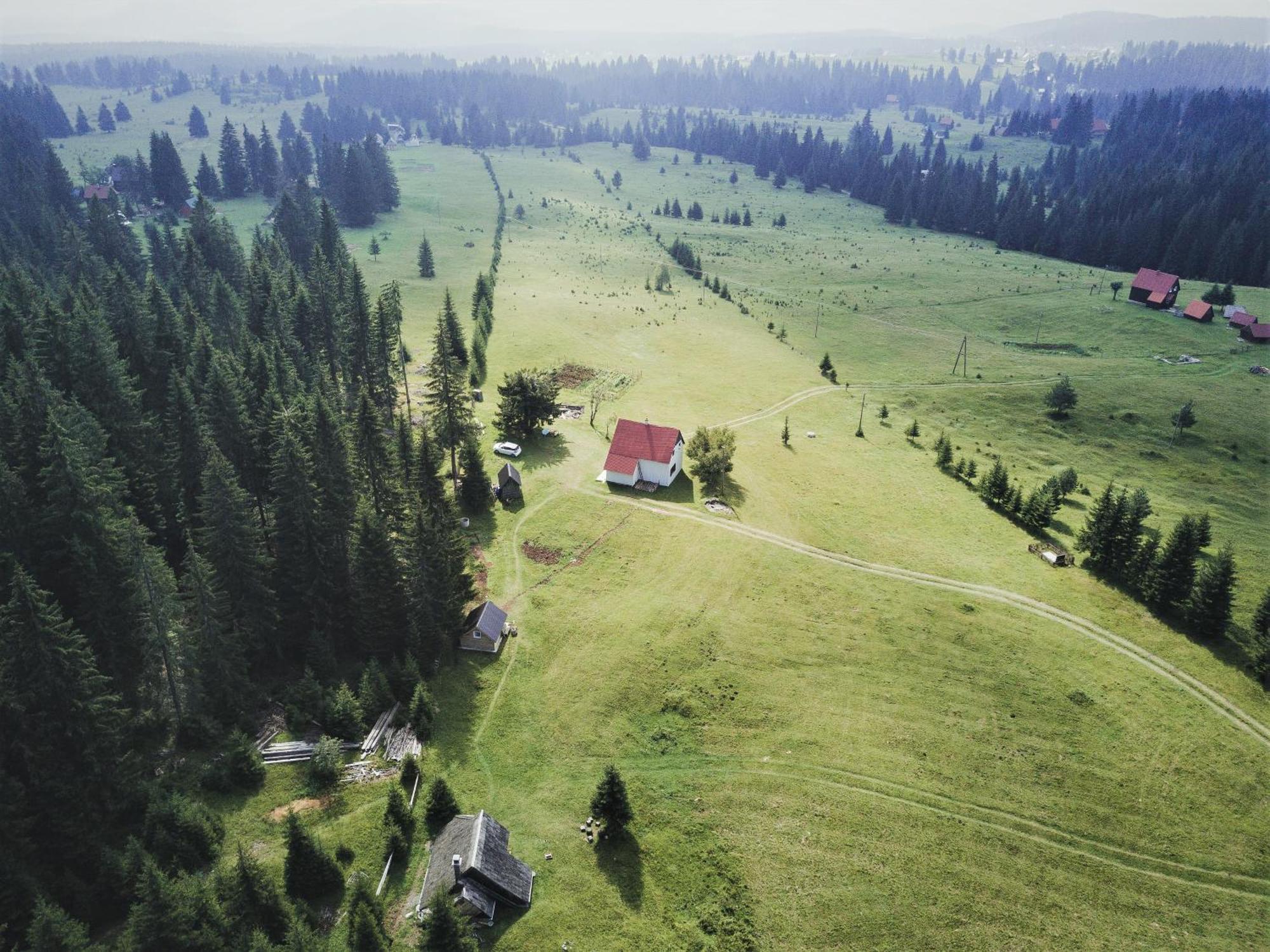 Homestay Djerkovic Žabljak Exteriör bild