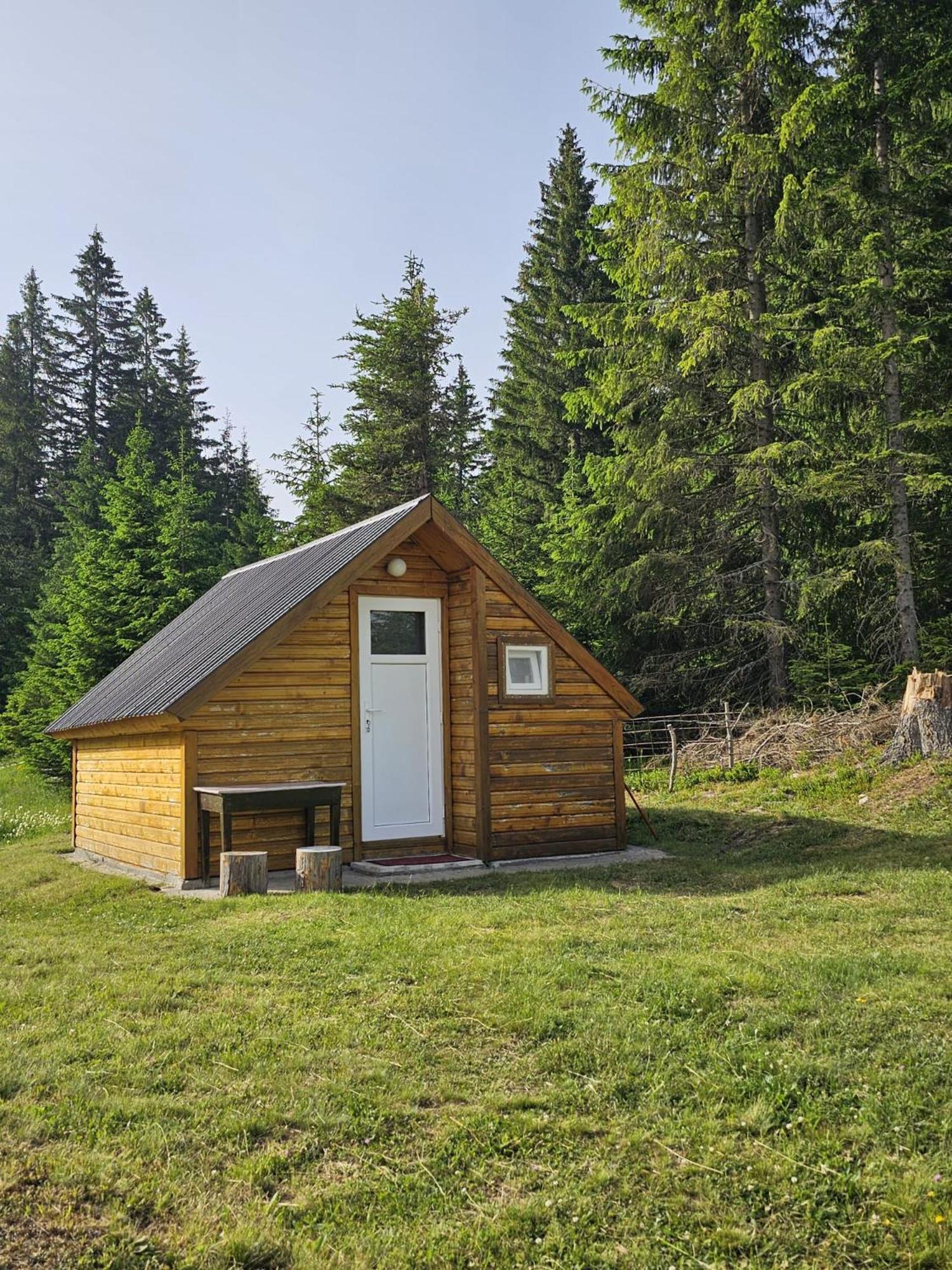 Homestay Djerkovic Žabljak Exteriör bild