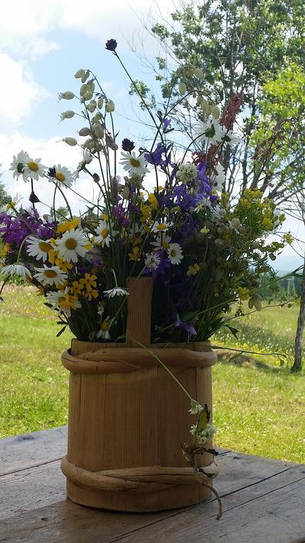 Homestay Djerkovic Žabljak Rum bild