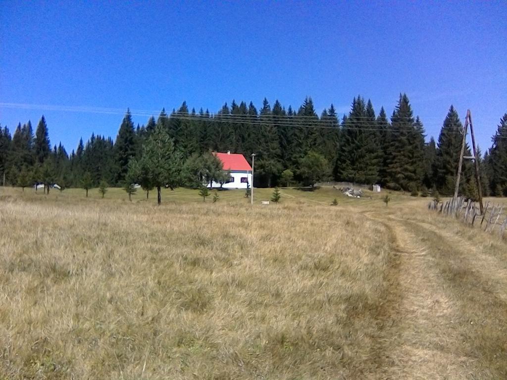Homestay Djerkovic Žabljak Exteriör bild