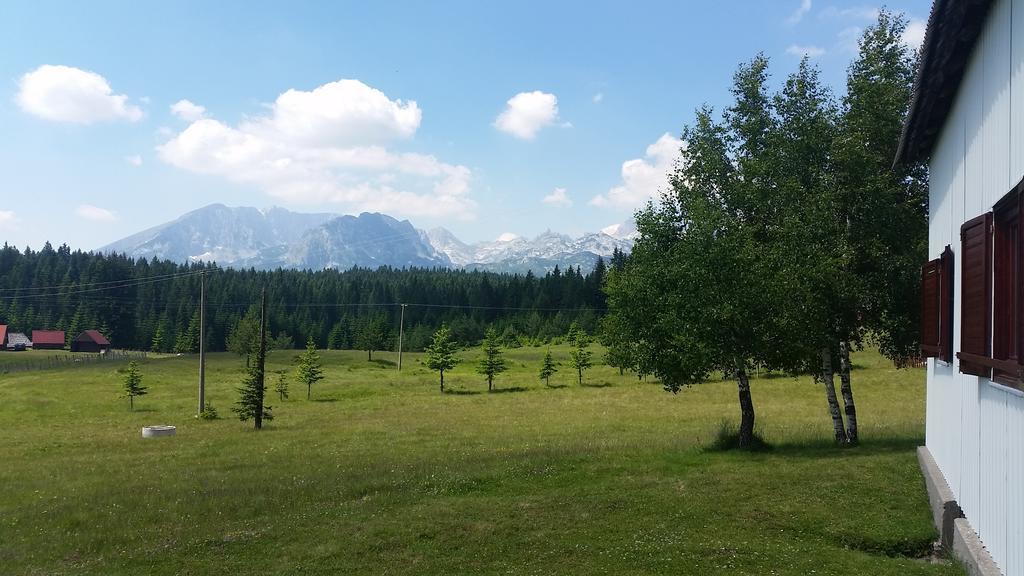 Homestay Djerkovic Žabljak Exteriör bild