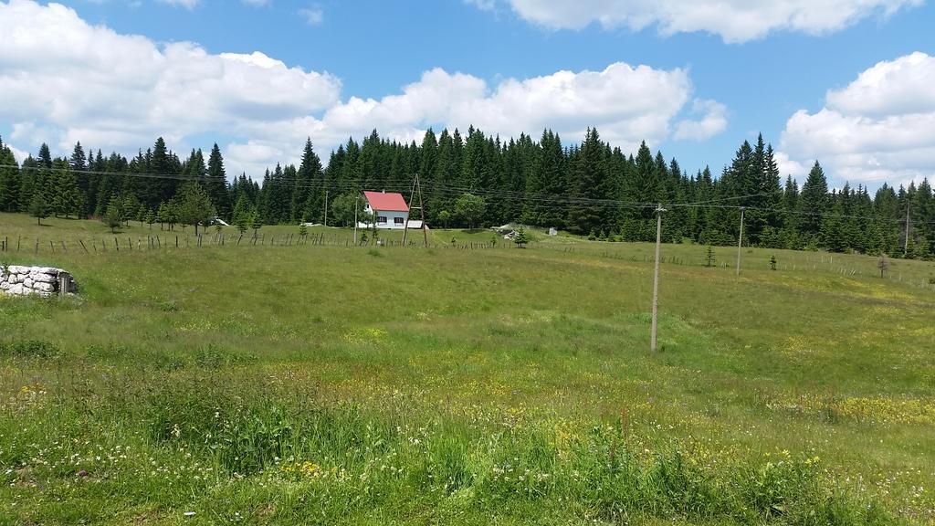 Homestay Djerkovic Žabljak Exteriör bild