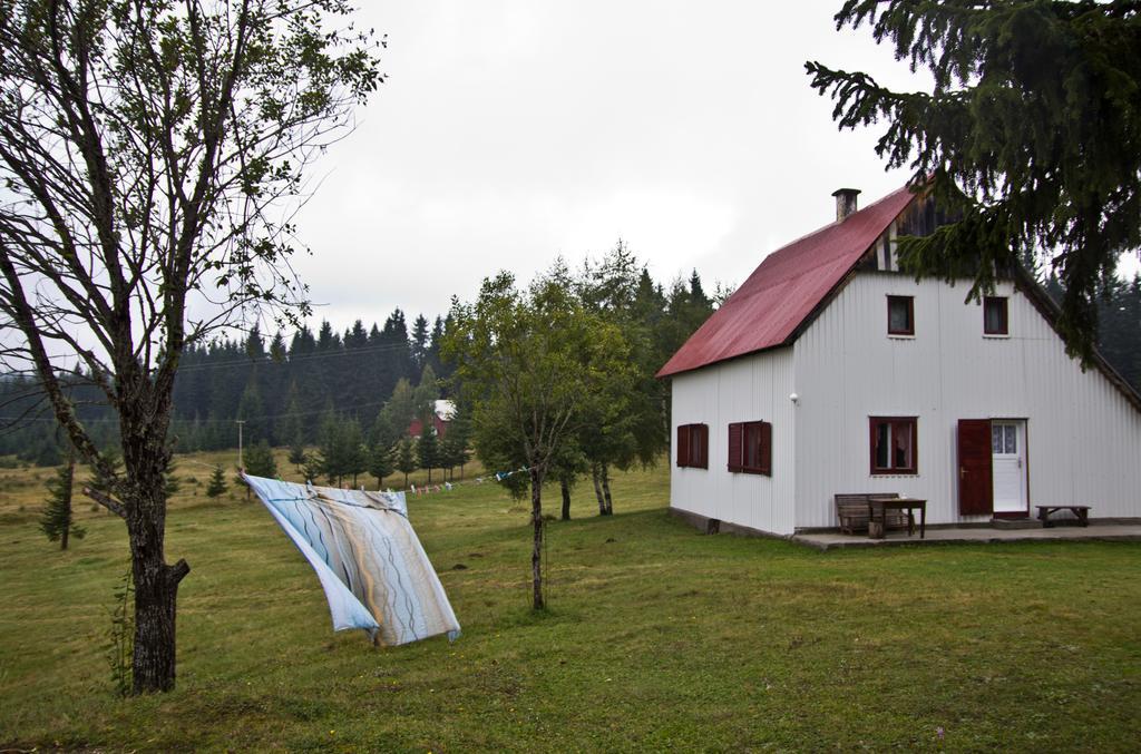 Homestay Djerkovic Žabljak Exteriör bild