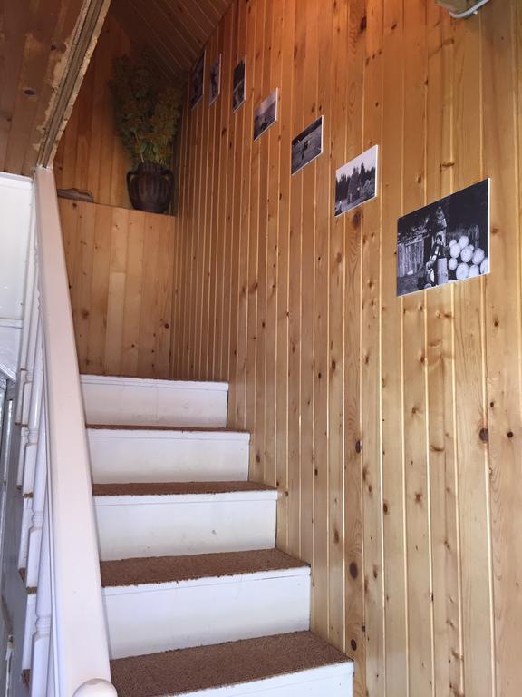 Homestay Djerkovic Žabljak Exteriör bild
