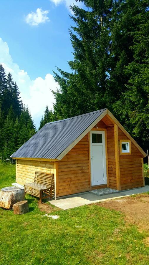 Homestay Djerkovic Žabljak Exteriör bild